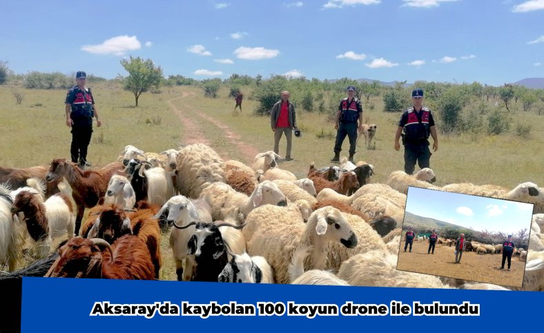 Aksaray'da kaybolan 100 koyun drone ile bulundu