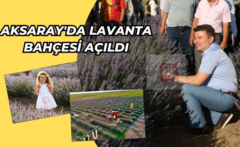 Aksaray'da Lavanta Bahçesi açıldı